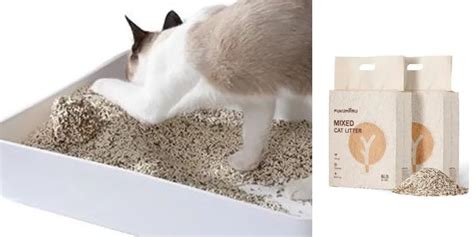 tofu cat litter review|Best Tofu Cat Litter — Pooping in Peace.